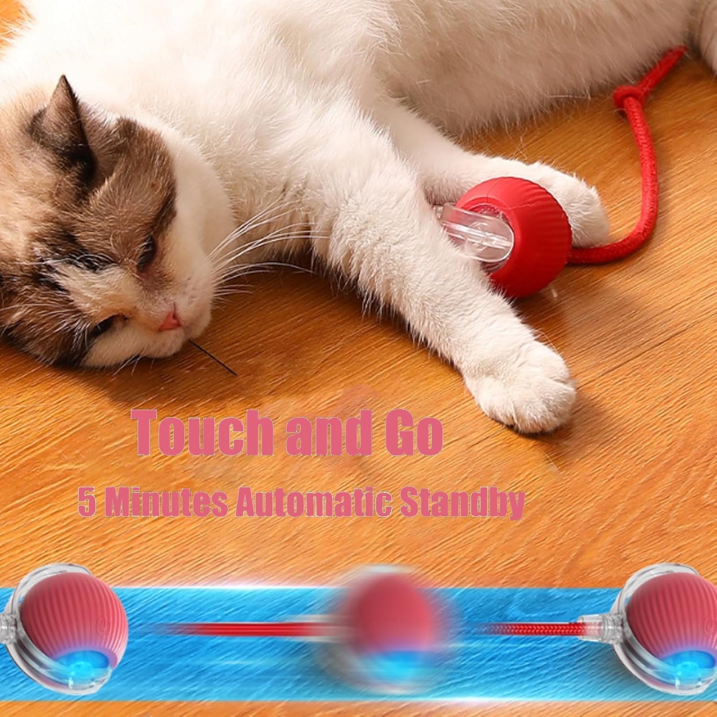 Silicone Interactive Rolling Toy