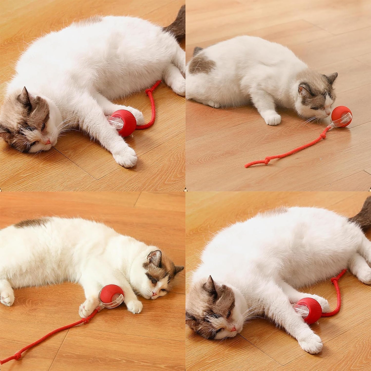 Silicone Interactive Rolling Toy