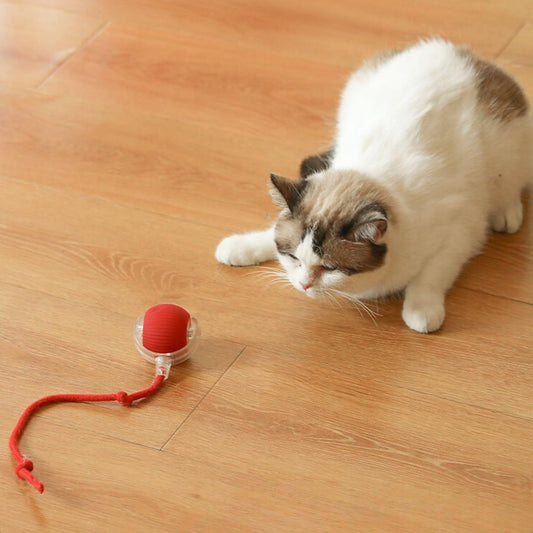 Silicone Interactive Rolling Toy