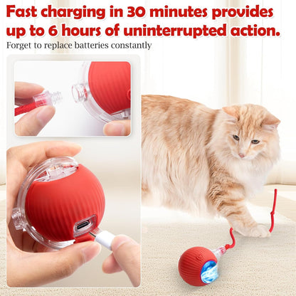 Silicone Interactive Rolling Toy