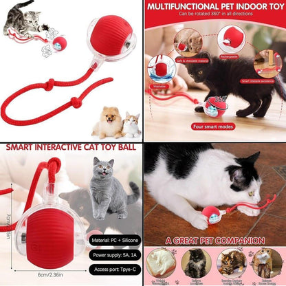 Silicone Interactive Rolling Toy