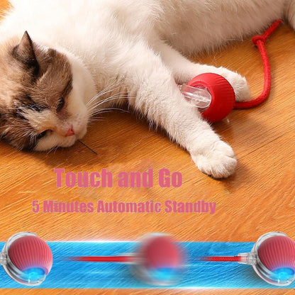 Silicone Interactive Rolling Toy